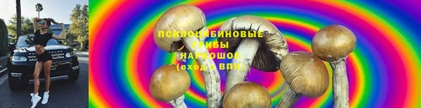 MDMA Медвежьегорск
