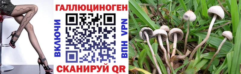 Купить  Харабали  Псилоцибиновые грибы мухоморы 